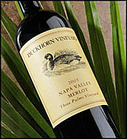 Duckhorn 2005 Three Palms Vineyard Merlot